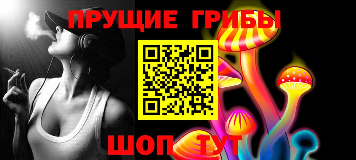 Тара  Псилоцибиновые грибы Cubensis  Вход с VPN  Псилоцибиновые грибы мухоморы 